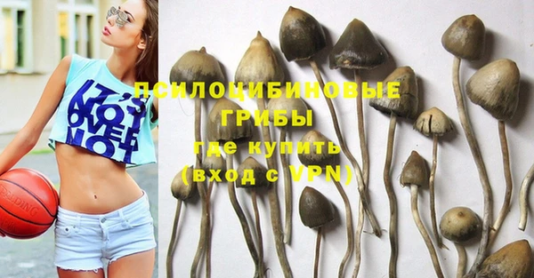 таблы Заполярный